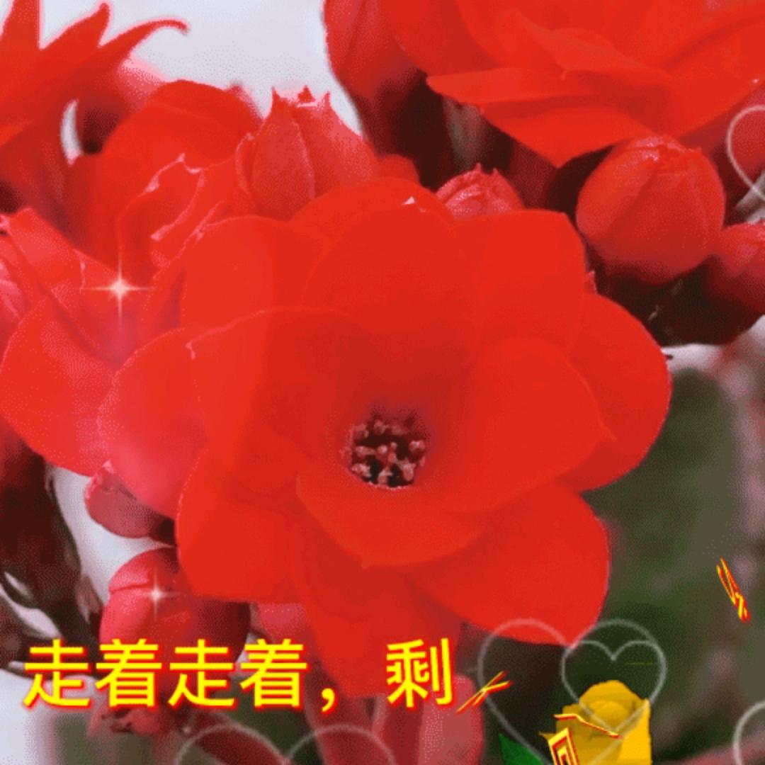 黄辩