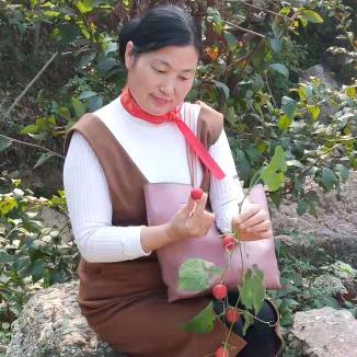 凤凰姐🙉🐵🙊🐒