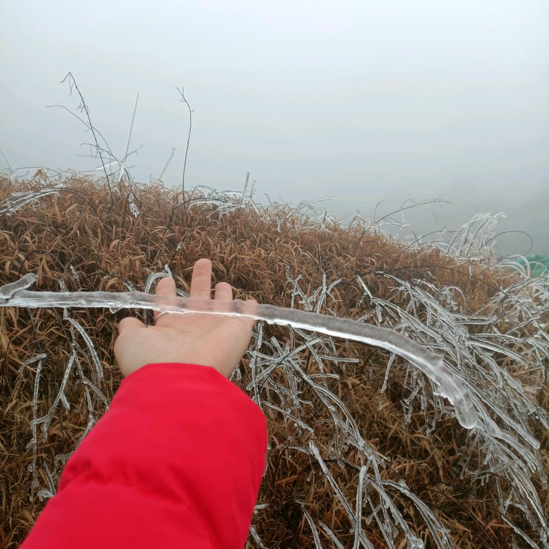 赵丫头卟爱吃香菜Lᵒᵛᵉ ⁹ᴳ