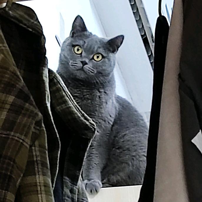 小番