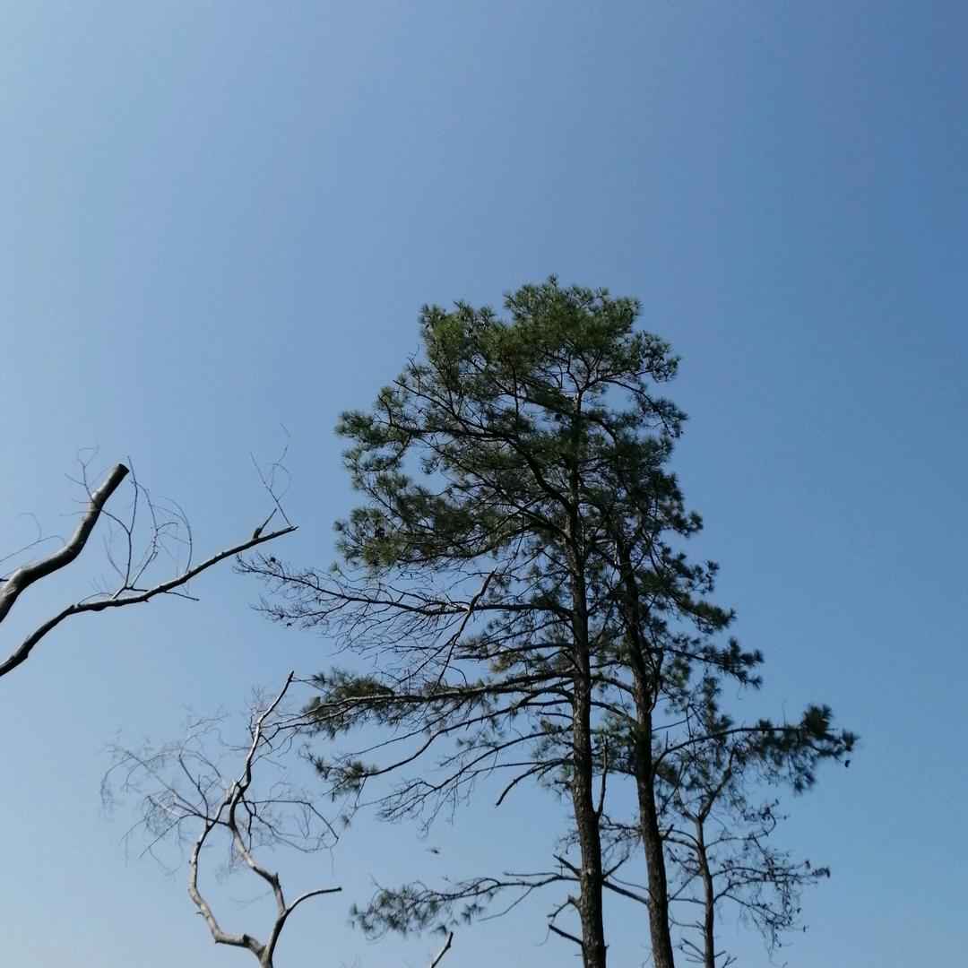 清水河