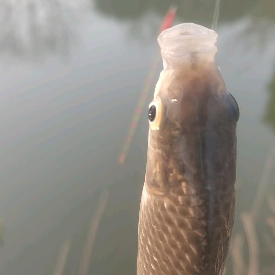 小风