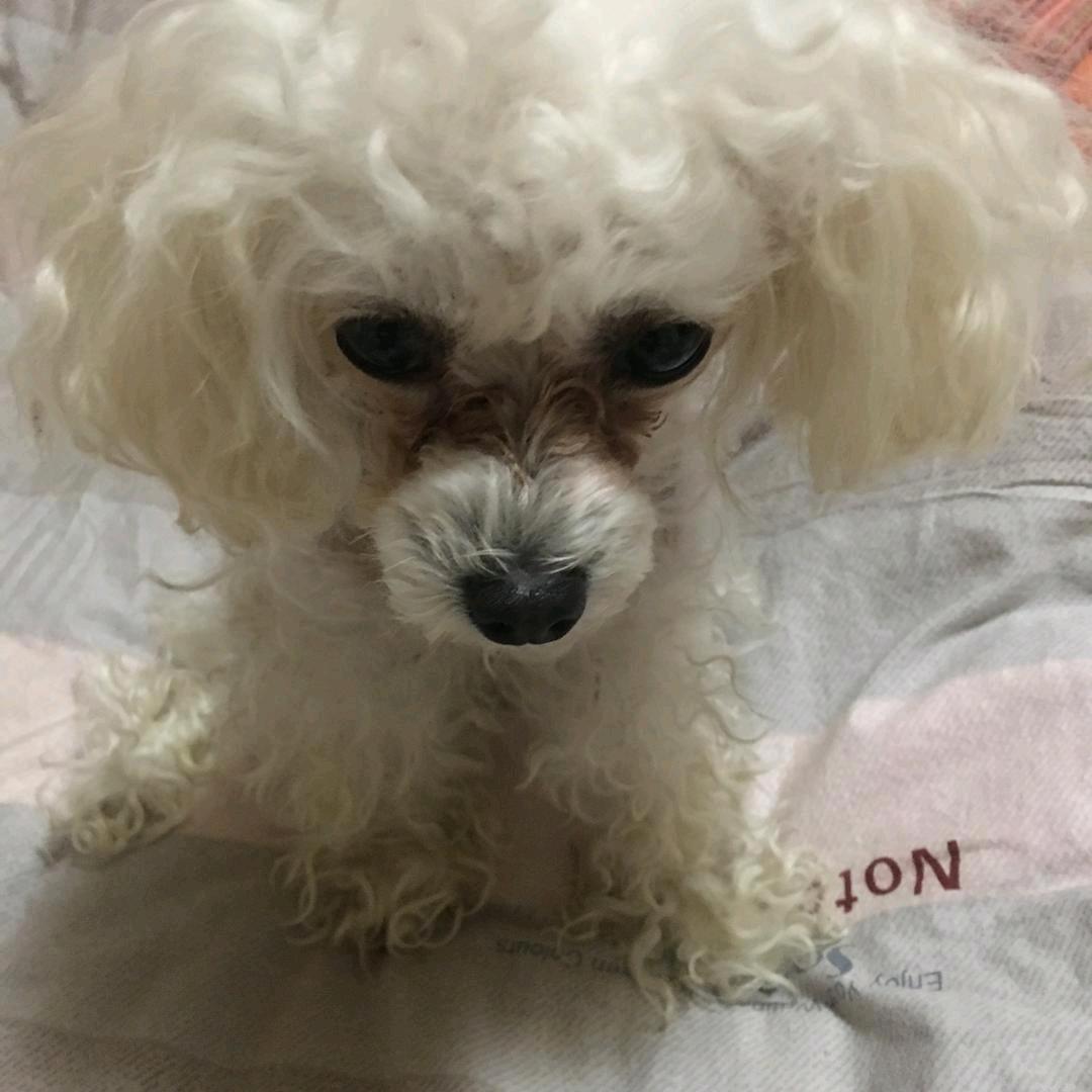 大丢丢