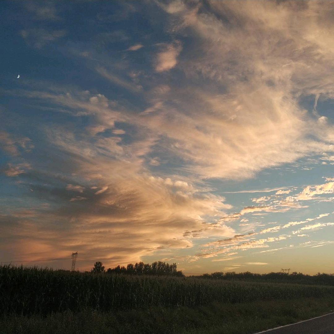 ٩(•̤̀ᵕ•̤́๑)💪加油