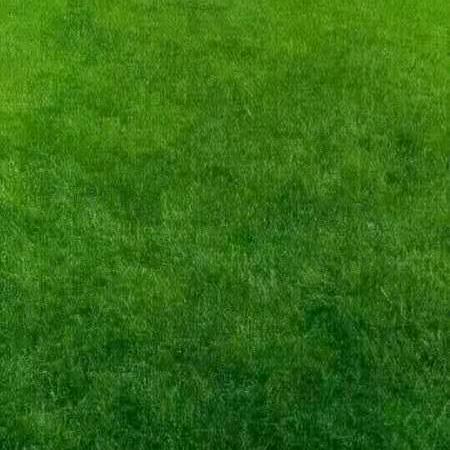 你不行