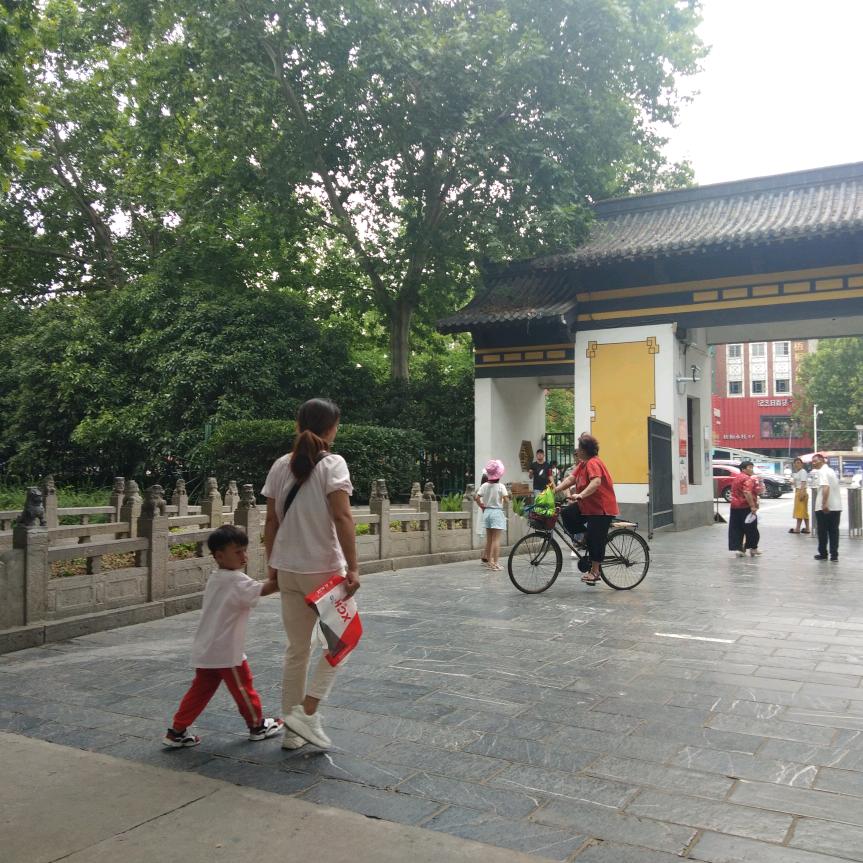 瓦埠湖特产杨洋