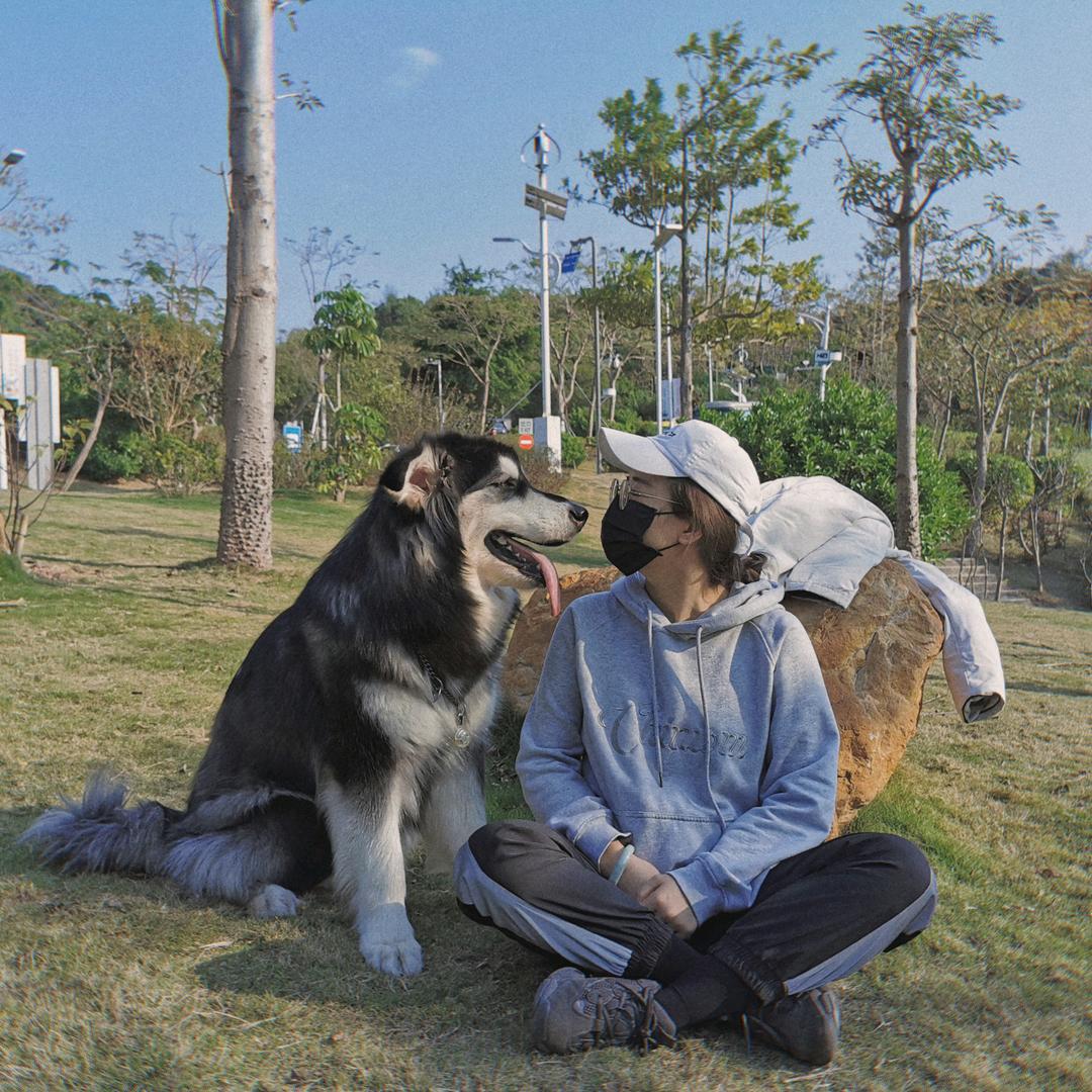 家有恶犬6和7