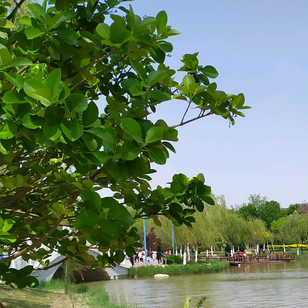 手机用户86383841579