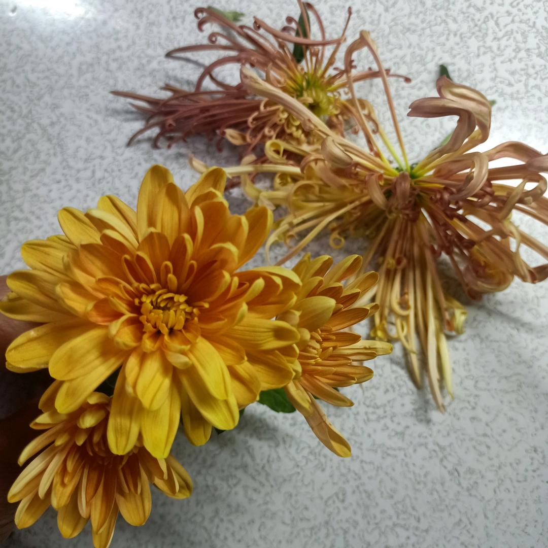 @知足常乐(拒绝私聊)