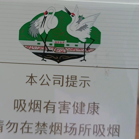玉龙明月