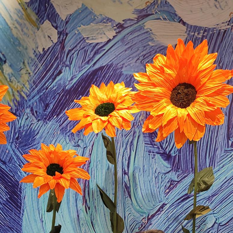 小星星★郑州周边欢乐游