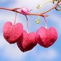 金昌家有宝贝恒昌店霞霞