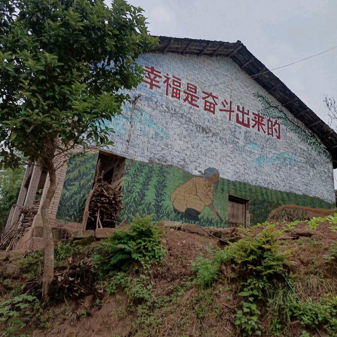 随缘吧