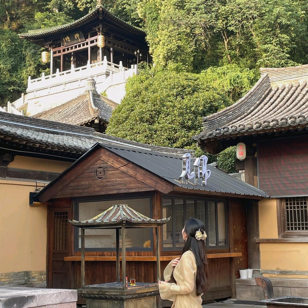 橙子的白日梦