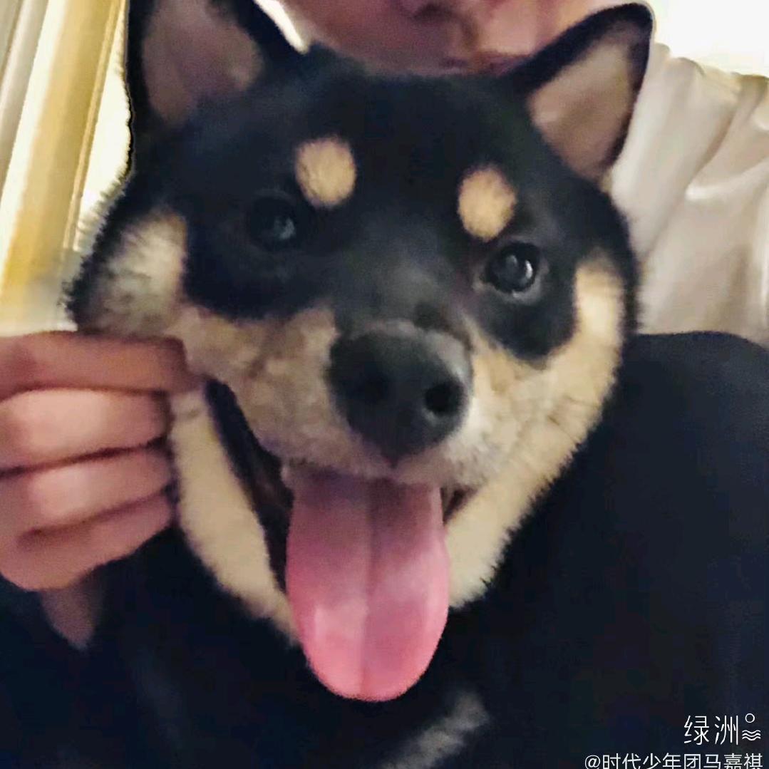 假期假期！