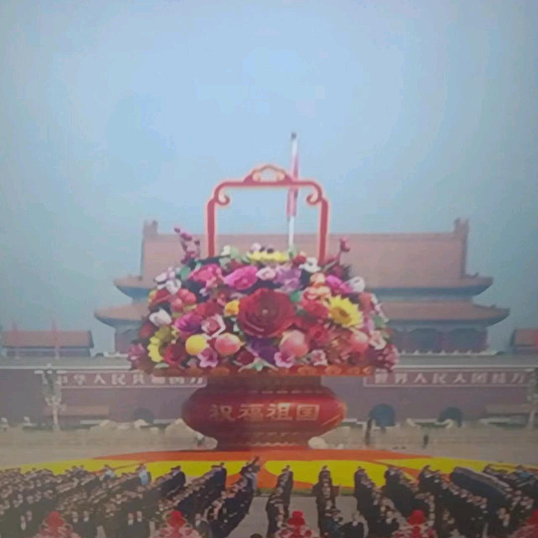 枝孑