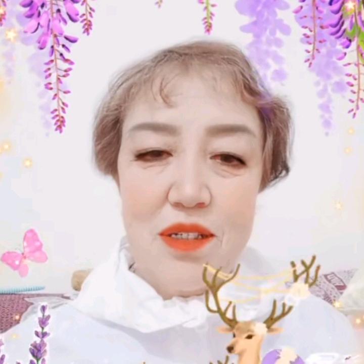 凤凤