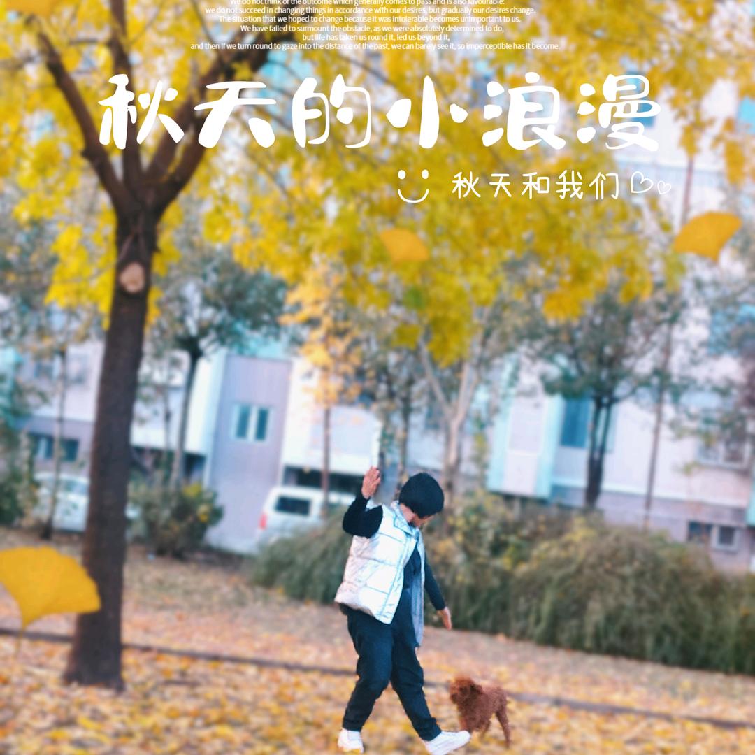 镜子1962