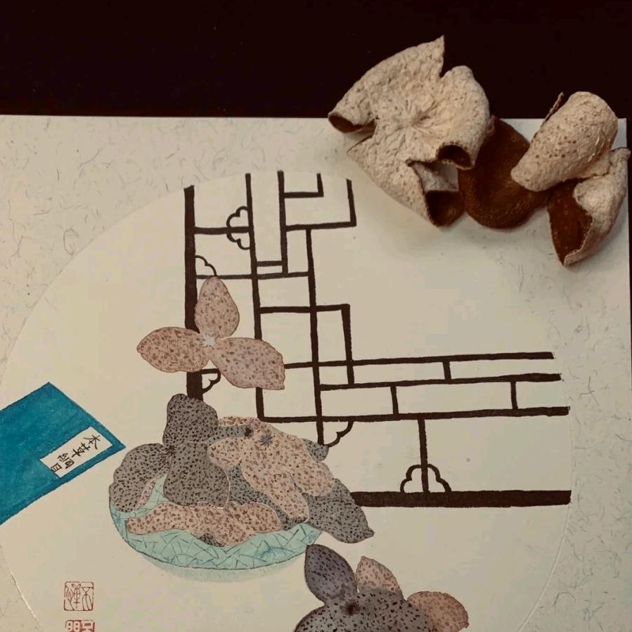 慕木陈皮（正宗新会陈皮）