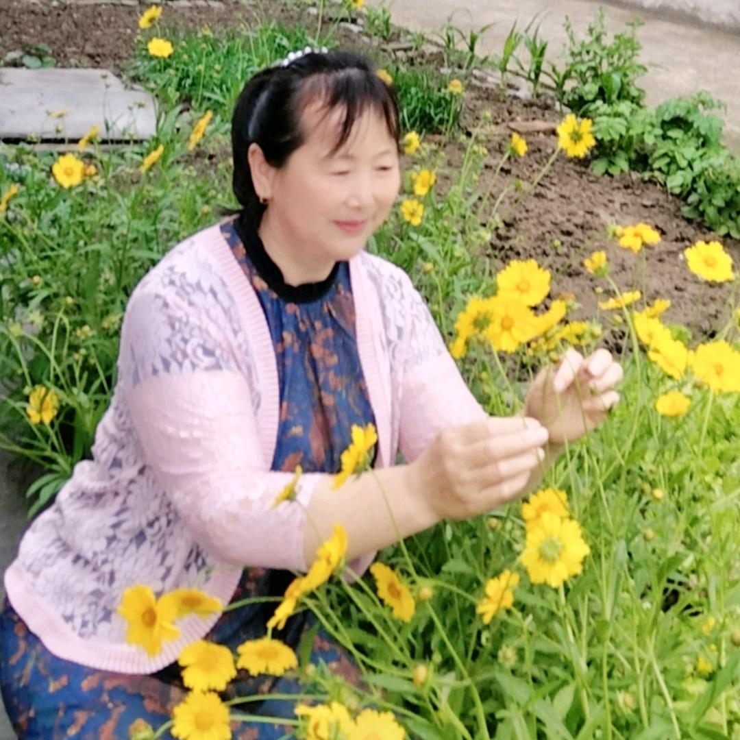 李家四小姐《橱窗有好物》