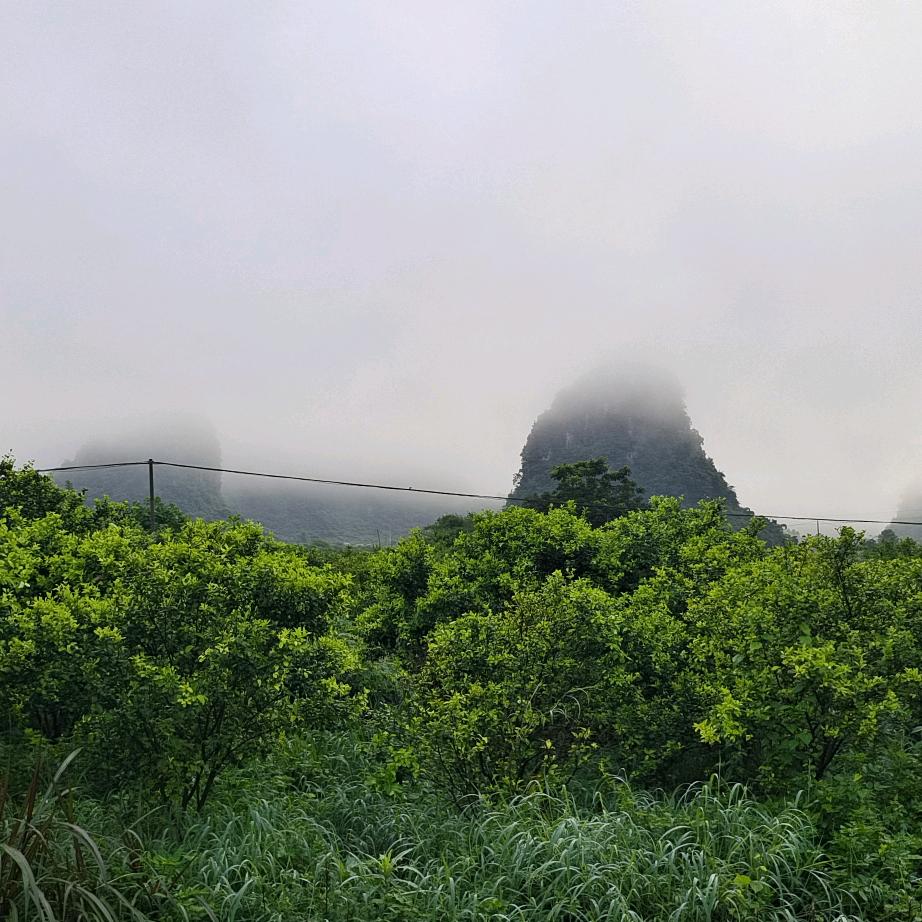 兜兜转转还在原地🍀