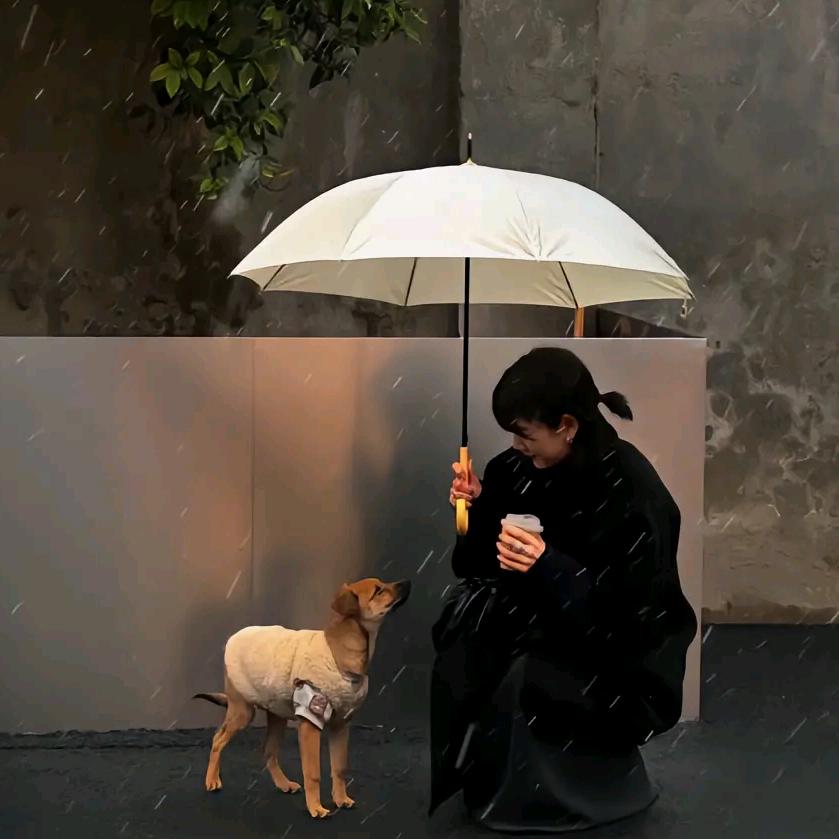 风软一江水