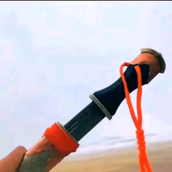 用户7067172385054