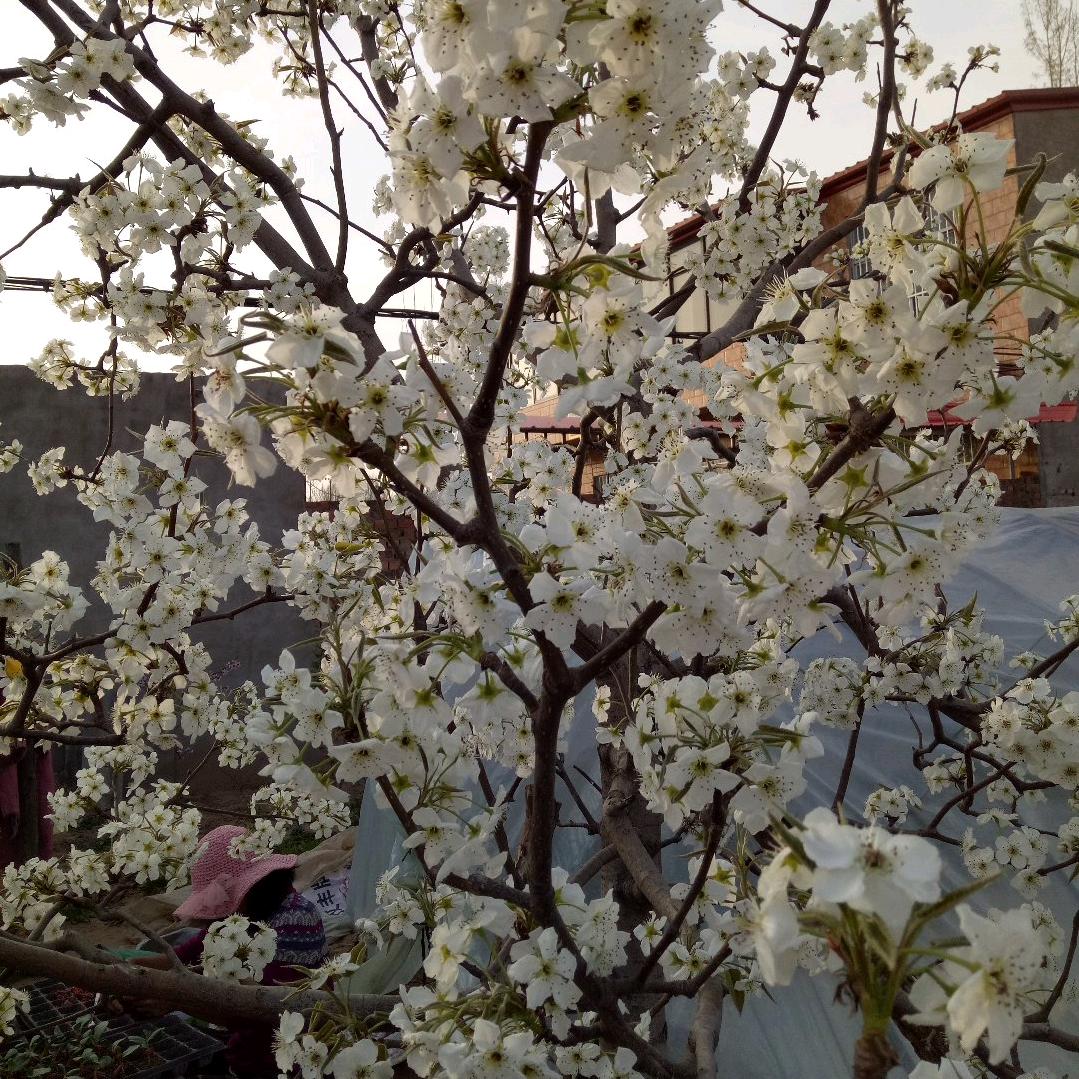 @趙财(ღ♡‿♡ღ)进宝