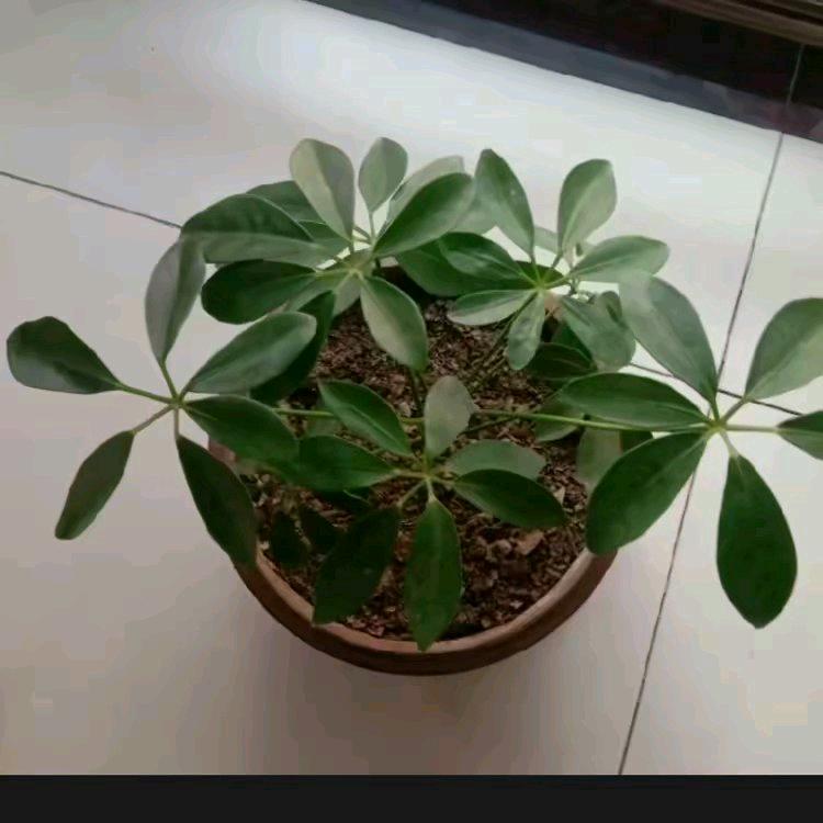 有结局的是电影，无结局的是人生