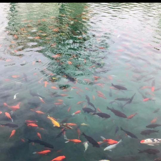 冬日暖阳