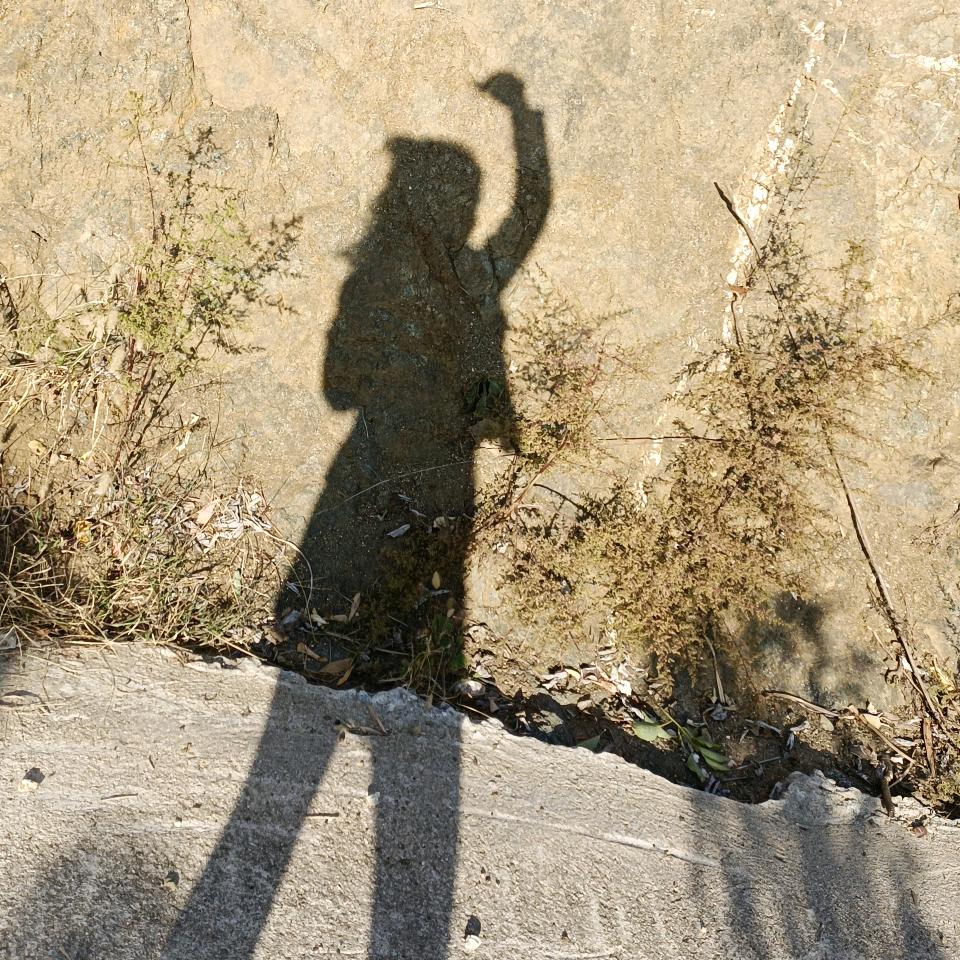 徐家二小姐~出租车