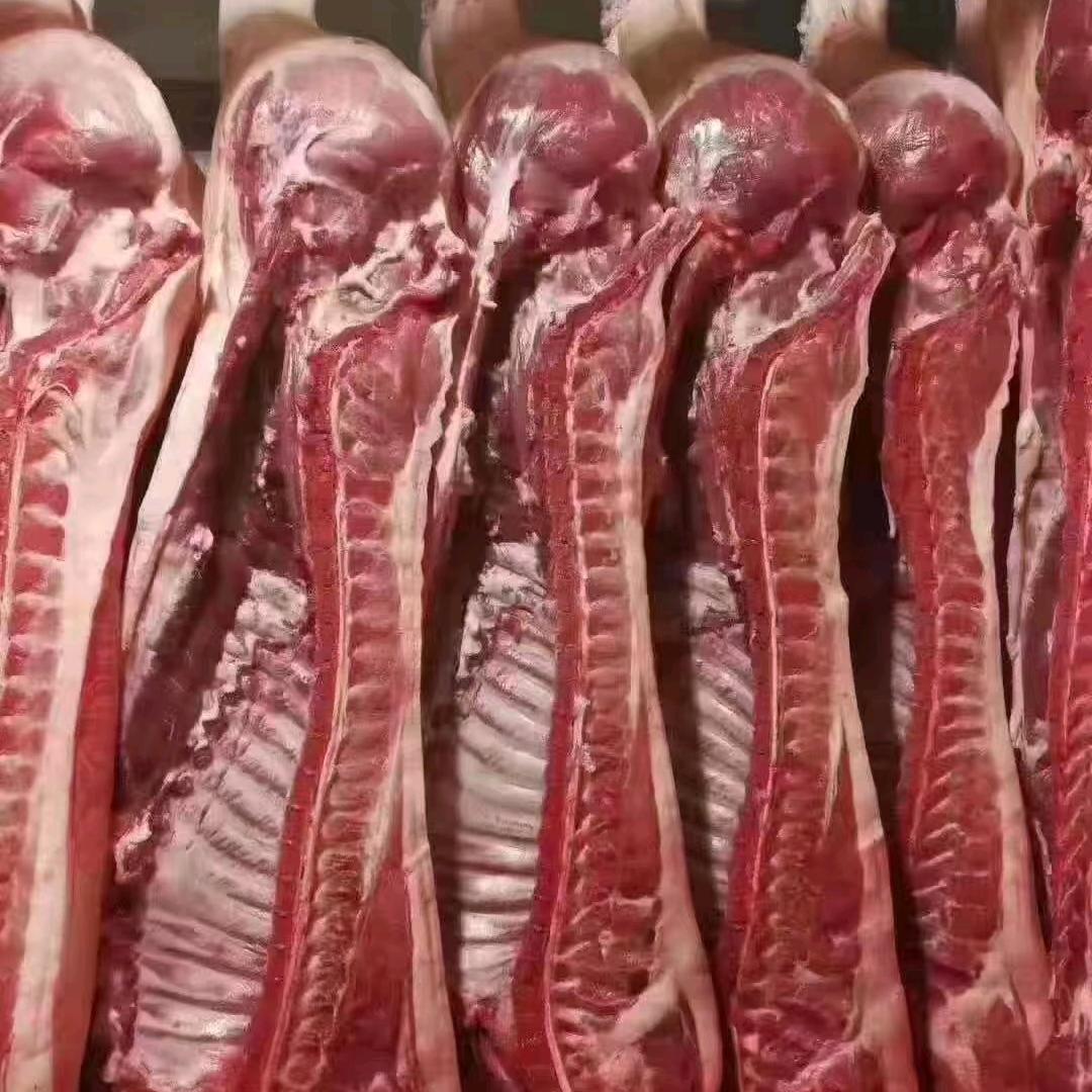 新鲜猪牛羊肉批发