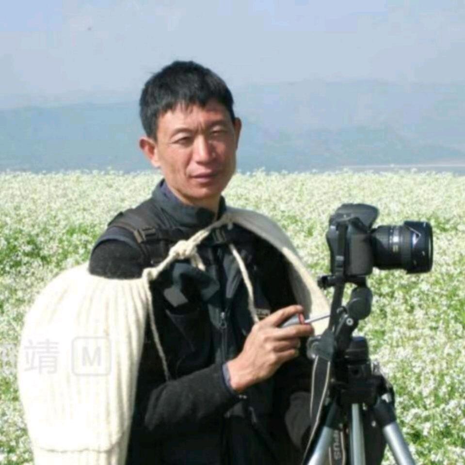 黑颈鹤 杨华