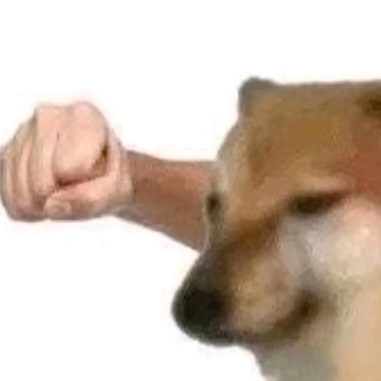 被小三打残患上情感障碍从此封心锁爱