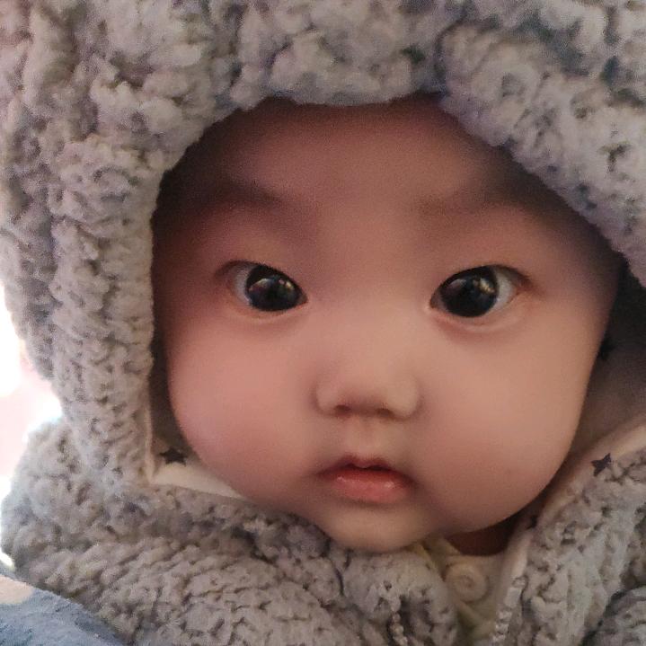 💞家有三宝💞