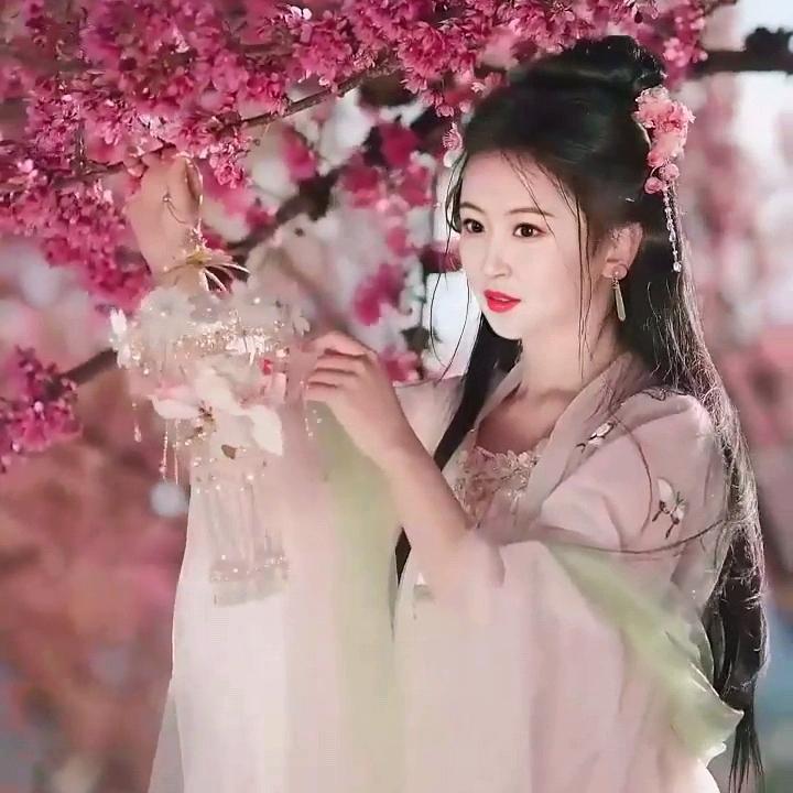 " 茉莉情花"