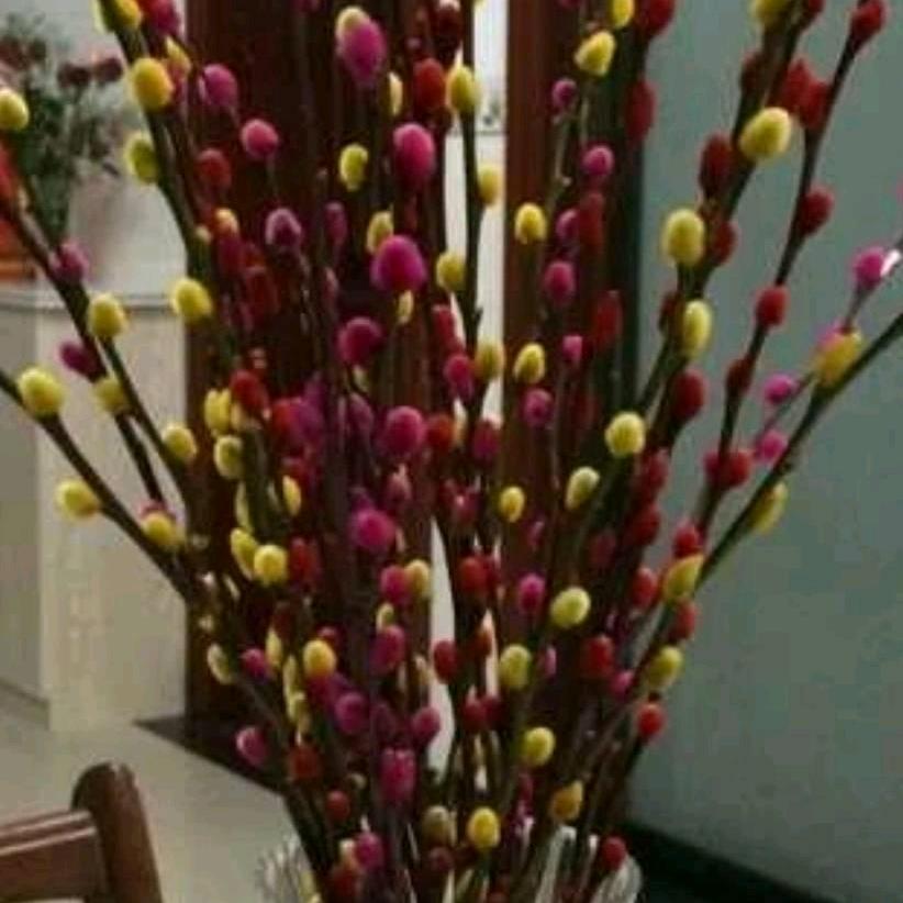 阿俭