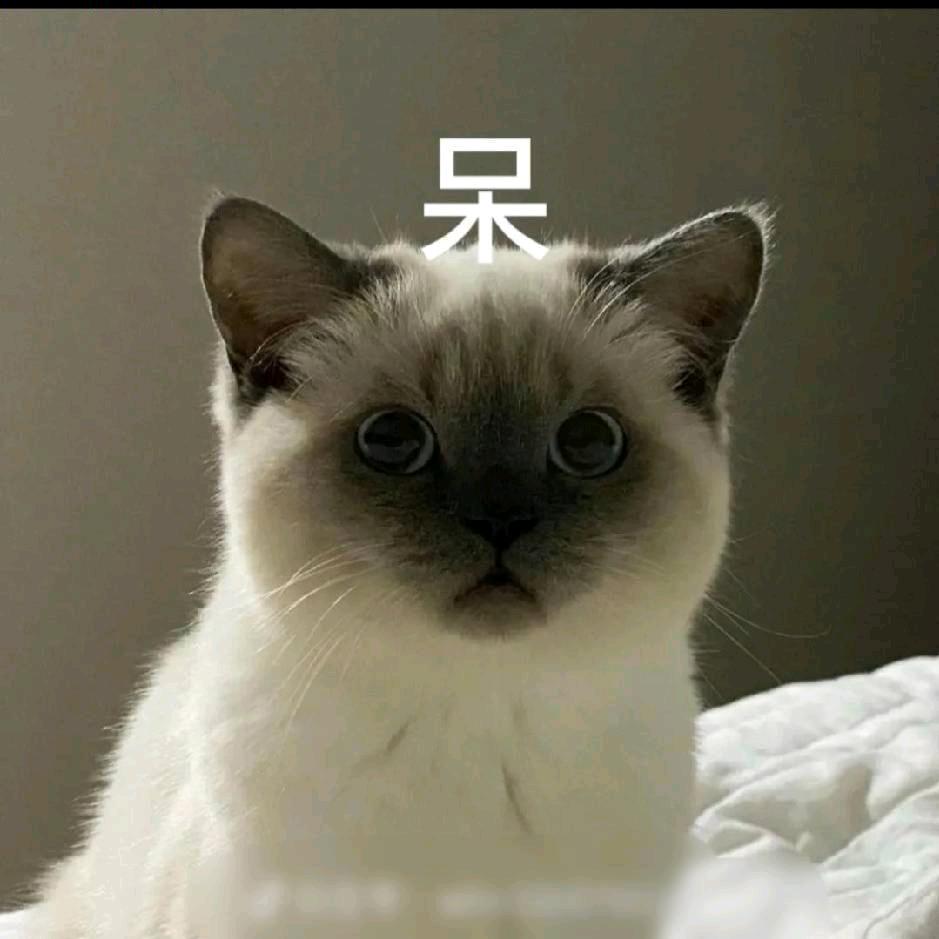 小阿太