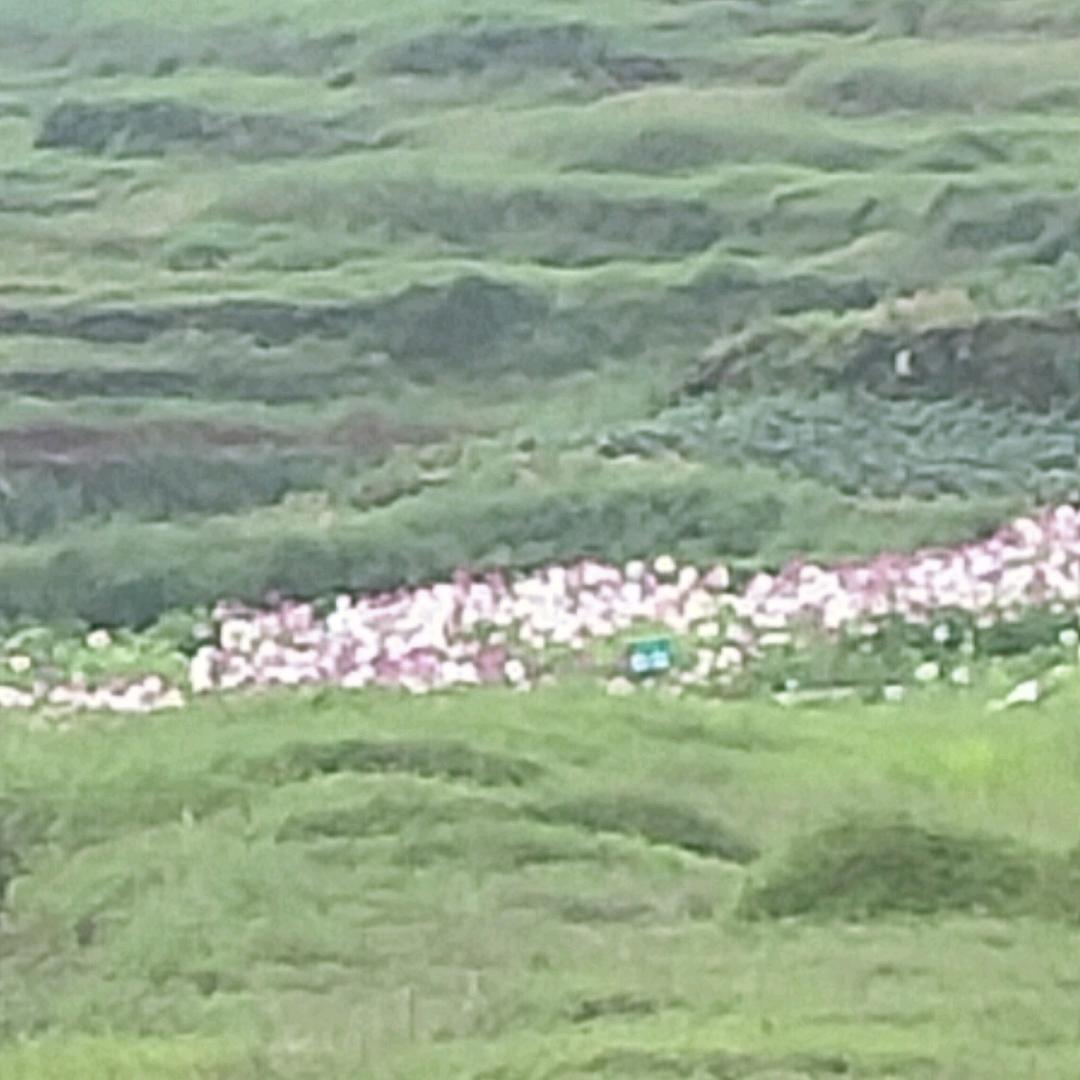 禄贵人家农家乐