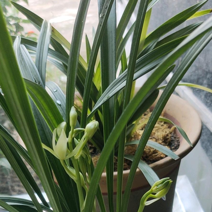 欢迎来到地球
