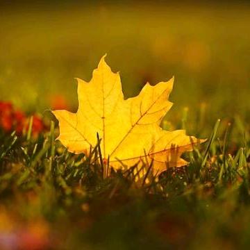 🧚‍♀️🧚‍♀️🧚‍♀️🧚‍♀️