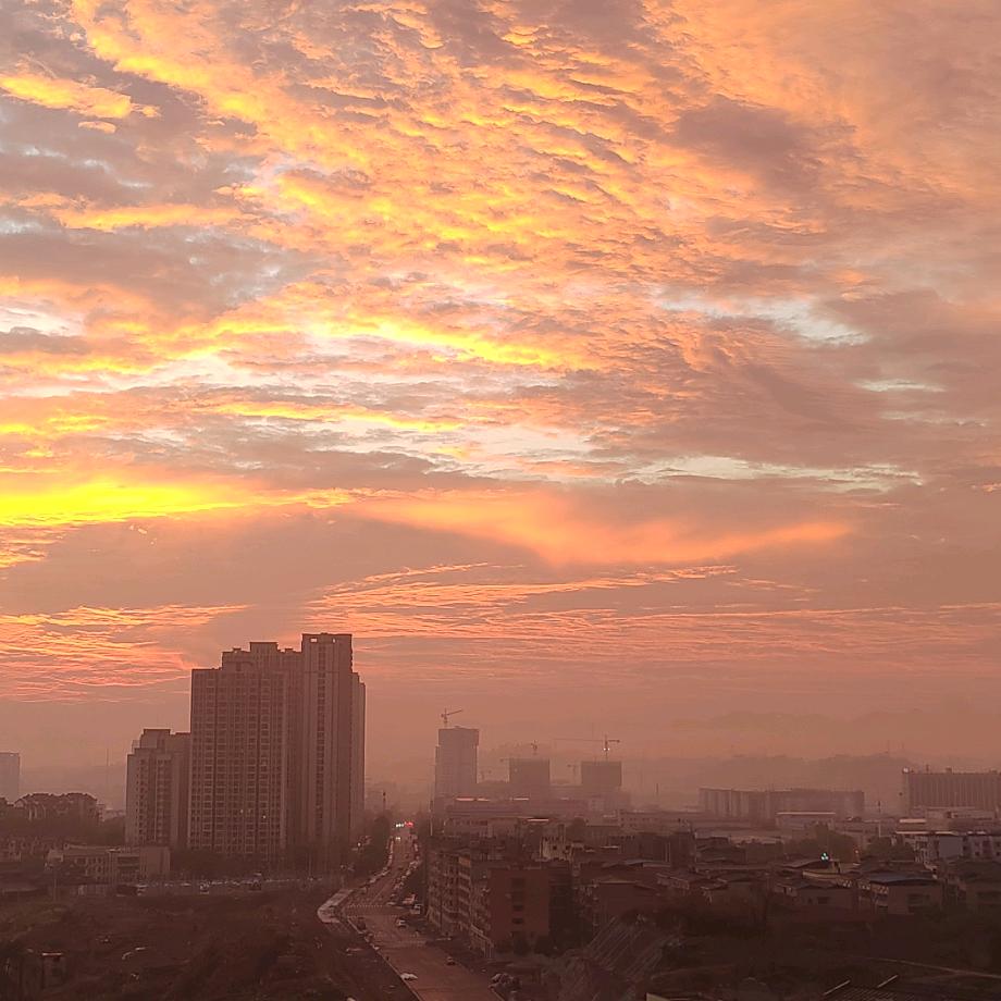 爱吃橙子爱吃梨儿