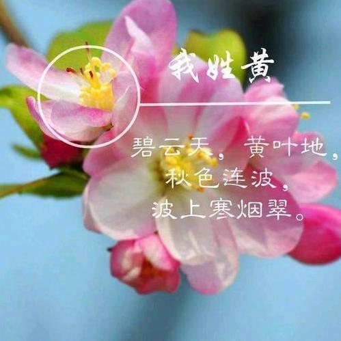 👑一生辉黄💍