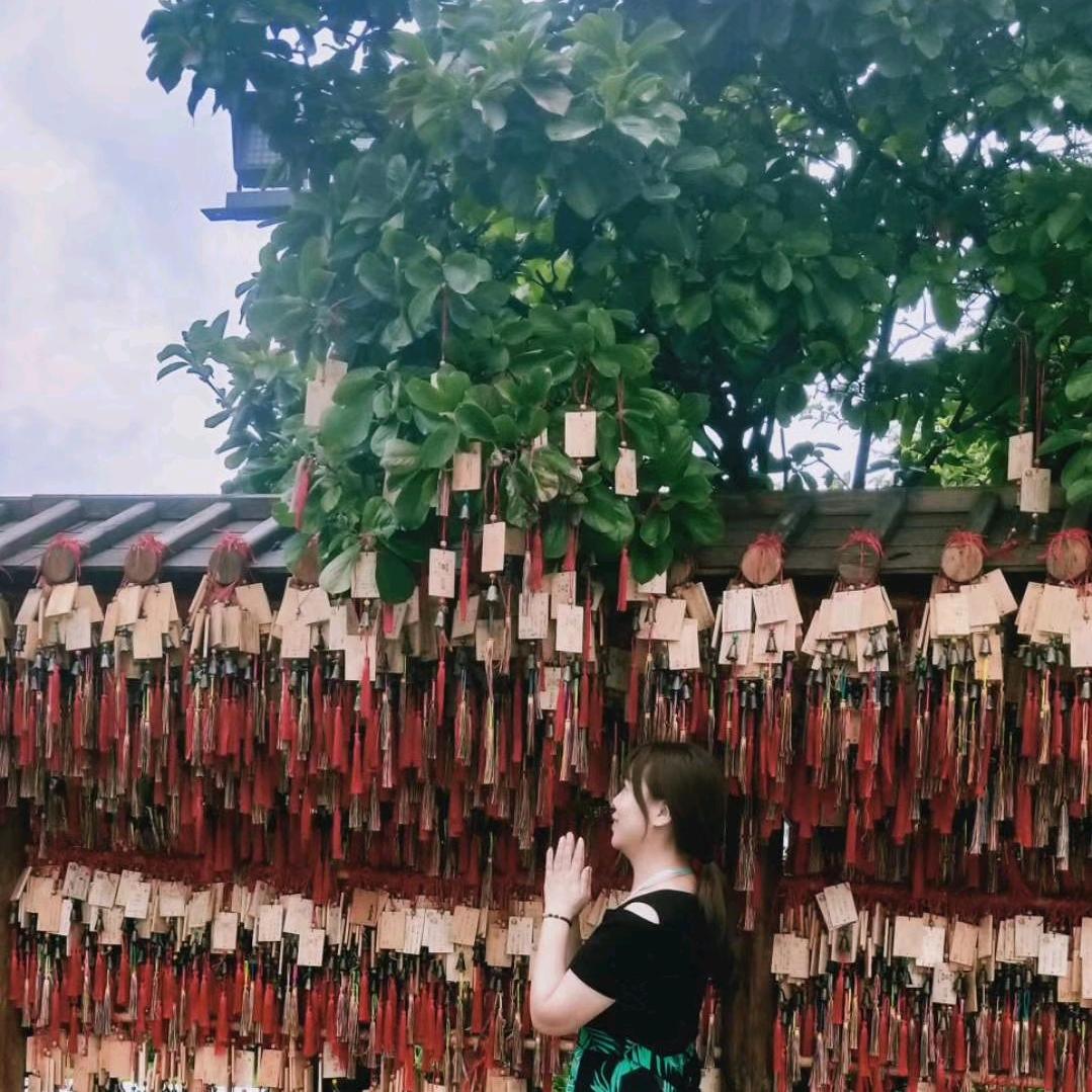 纸  鸢