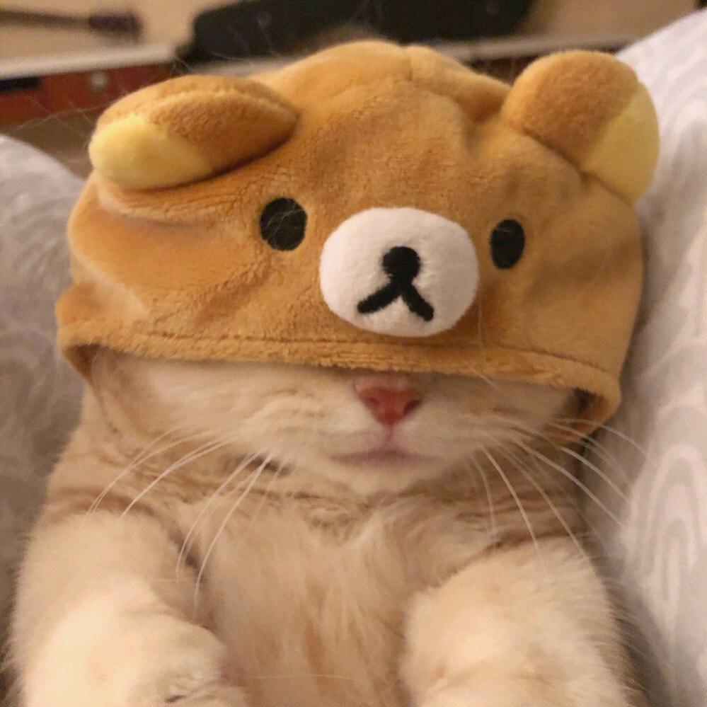 当时只道是寻常.