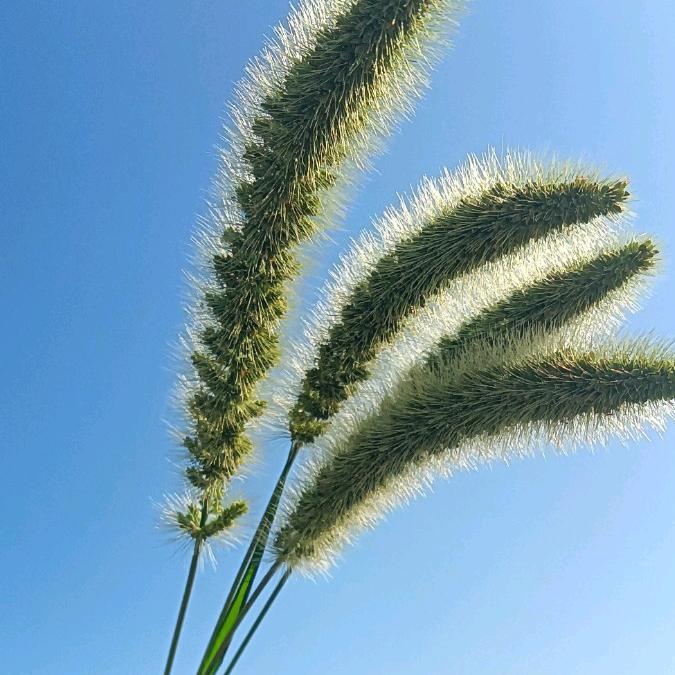 [爱心]ღ᭄归ོ零ꦿ💞᭄এ