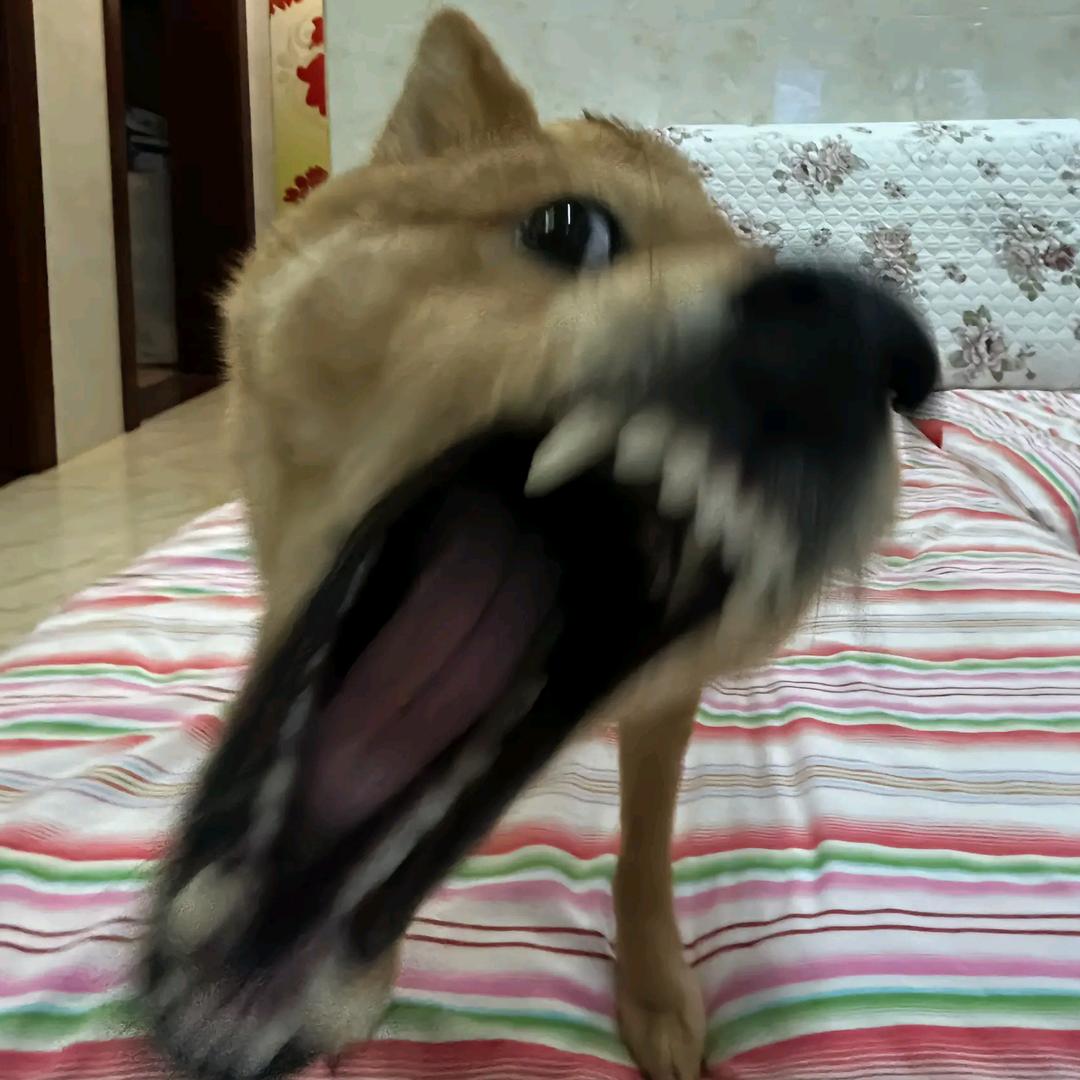 以后半夜绝不刷抖音😓