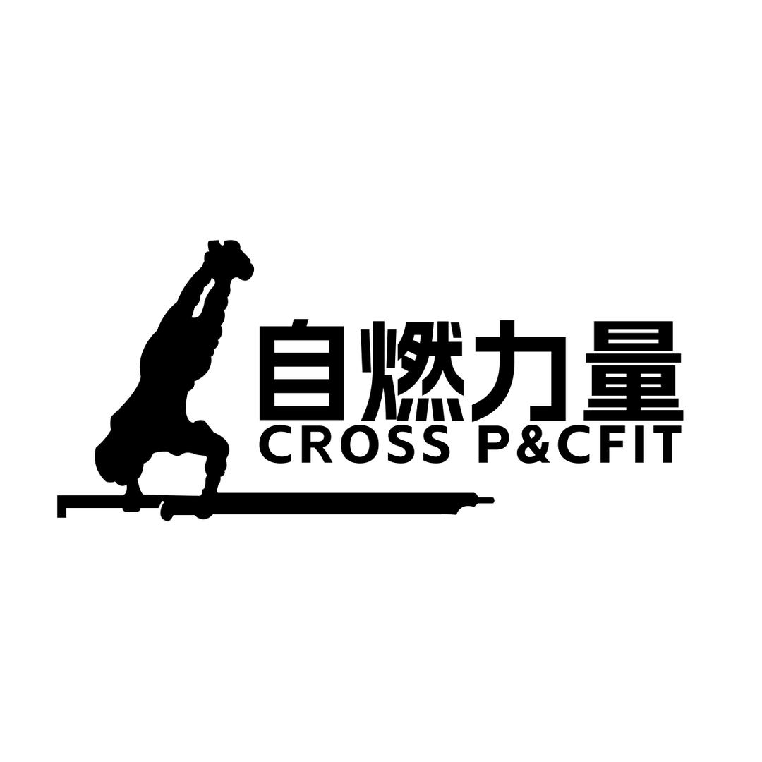 玩美体育联盟