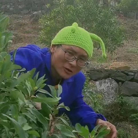 阿伟哥