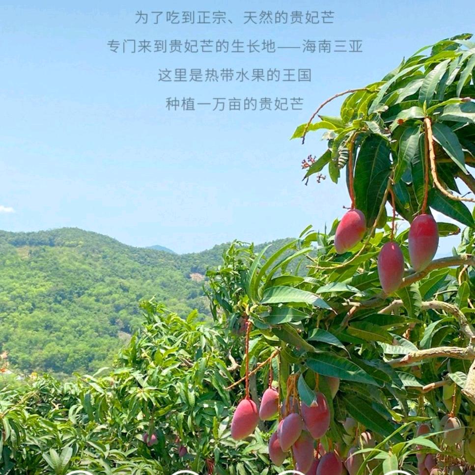 帅果自由行（时令水果溯源）
